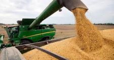 Tras superar los US$ 500 por primera vez desde 2014, la soja cerró a US$ 496,04
