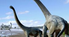 El nuevo dinosaurio argentino: ¿el animal más grande que pisó la Tierra?