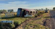 Volcó un colectivo de la empresa El Norte al colisionar con dos animales