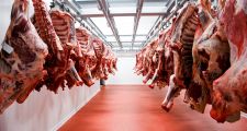 Las exportaciones de carne tuvieron un fuerte repunte interanual en febrero