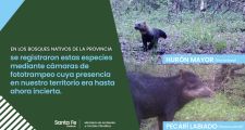 SE REGISTRARON DOS ESPECIES ANIMALES NUNCA ANTES VISTAS EN LA CUÑA BOSCOSA