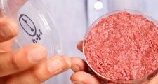 Israel abrió la primera fábrica de carne artificial del mundo