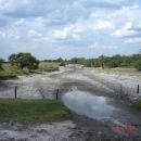 Detienen a 9 chaqueños por usurpar en forma violenta un campo en el norte provincial