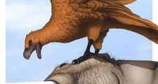 En Argentina, descubrieron los fósiles de las aves voladoras más gigantescas de todos los tiempos