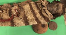 Descubren los orígenes de momias de San Juan a partir del ADN humano en los piojos