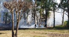 Incendio en el Vivero de Santa Felicia, fue controlado rápidamente