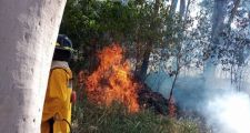 Incendio en el Vivero de Santa Felicia, fue controlado rápidamente