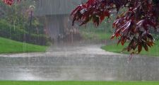 Datos de lluvia