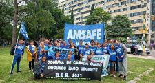 MICRO DE AMSAFE VERA