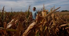 Sequía histórica en Argentina: se agrava el retraso en la siembra de soja y maíz