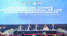 NUEVA REUNIÓN DEL COMITÉ INTERJURISDICCIONAL DE LOS BAJOS SUBMERIDIONALES