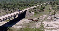 Con el apoyo de  drones, la Guardia Rural Los Pumas recuperó 47 vacunos 