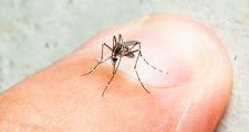 Se confirmaron 124 nuevos casos de dengue