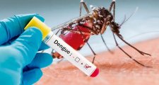 Primera muerte de 2024 por dengue en Rosario