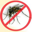 Recomendaciones para combatir el dengue