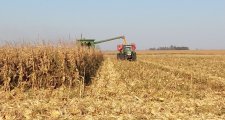 La estabilidad climática favorece la cosecha de soja