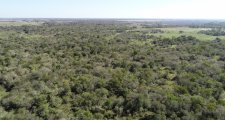 Avanza en la creación del Comité de Cuenca Forestal