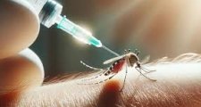 Comienza la vacunación contra el dengue en Santa Fe