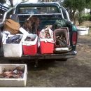 SECUESTRO DE ARMA DE FUEGO, PECES Y ANIMALES SILVESTRES