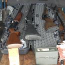 SECUESTRARON 90 POLLOS EN PROCEDIMIENTO LOS PUMAS