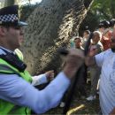 SALVAJE REPRESION DE LA POLICIA CONTRA TRABAJADORES DEL BORDA