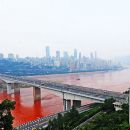 Misterio en China por un río que cambió de color