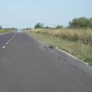 RUTA Nº 3 Y SU MAL ESTADO DE CONSERVACIÓN