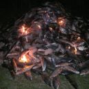 TRES DETENIDOS Y TRES MIL KILOS DE PESCADO DECOMISADO.-