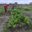 Pro-Huerta en La Gallareta
