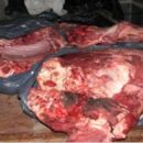 FUE DETENIDO POR “LOS PUMAS” MIENTRAS CARNEABA A LA VERA DEL CAMINO