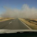INCENDIO DE PATIZALES