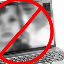 Investigan red de pornografía infantil