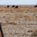 Preocupan los efectos de la sequía en la provincia
