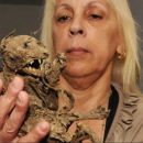 Rosario: una familia exhibe restos de un extraño animal parecido al 