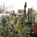 Se llevó a cabo una nueva edición de la Expo-Rural