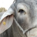 Se llevó a cabo una nueva edición de la Expo-Rural