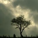 PRONOSTICO CON TEMPERATURAS EN BAJA