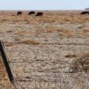 Solicitaron declarar la emergencia agropecuaria para departamentos del norte provincial