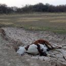 Comunidades del departamento Vera muy comprometidas por falta de agua
