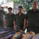 300 kilos de pescado en mal estado