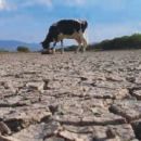 La provincia declaró la emergencia agropecuaria