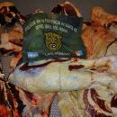 SECUESTRAN 220 KGS DE CARNE VACUNA EN ROMANG
