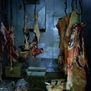 SECUESTRAN 220 KGS DE CARNE VACUNA EN ROMANG