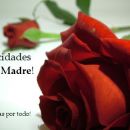 FELIZ DIA A TODAS LAS MADRES