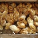 Se entregaron 900 pollitos y alimento balanceado a productores locales