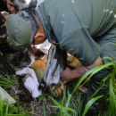 OPERATIVO CONTRA DEPREDADORES DE LA FAUNA SILVESTRE Y AUTOCTONA POR PARTE DE LA GUARDIA RURAL DE ROMANG