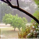 REGISTRO DE LLUVIA EN EL DEPARTAMENTO VERA
