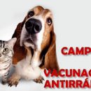 CAMPAÑA DE CASTRACION Y VACUNACION ANTIRRABICA.