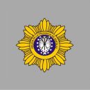 PROCEDIMIENTO DE LA  BRIGADA OPERATIVA DEPARTAMENTAL
