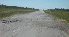 Arbustos en banquinas, animales sueltos y baches describen a la Ruta 3